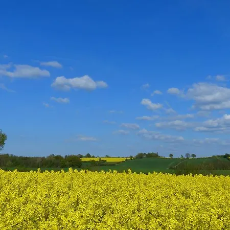 Отель Restaurant Und Zum Weissen Ross 2*