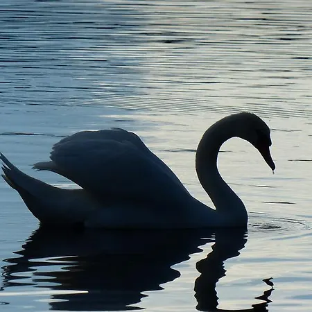 Hotel Restaurant Und Zum Weissen Ross