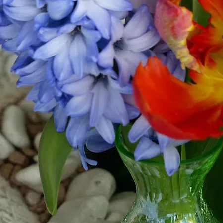 Restaurant Und Zum Weissen Ross Hotel