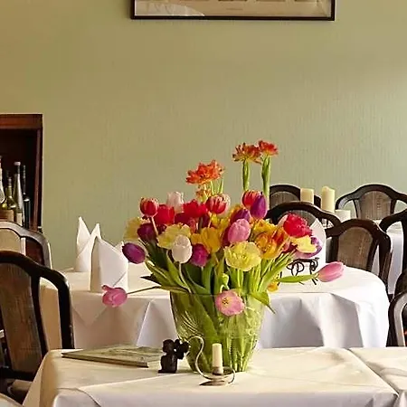 Restaurant Und Zum Weissen Ross Szálloda Mölln