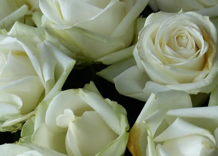 Restaurant Und Zum Weissen Ross Mölln