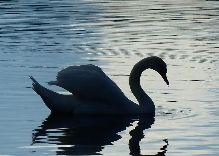 Hotel Restaurant Und Zum Weissen Ross
