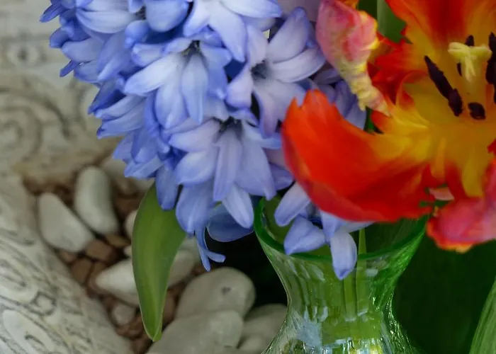 Restaurant Und Zum Weissen Ross Hotel